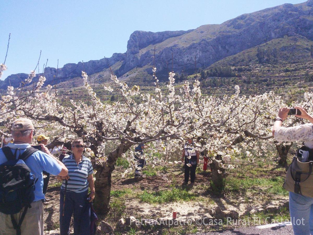 PatróBuhardilla Rustica En La Vall De Gallinera公寓式酒店 外观 照片