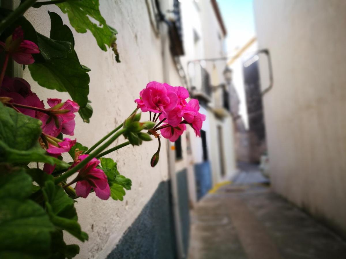 PatróBuhardilla Rustica En La Vall De Gallinera公寓式酒店 外观 照片